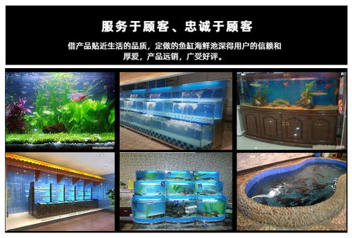 海鮮池定制推薦 欣璽匯專業圖文設計制作服務